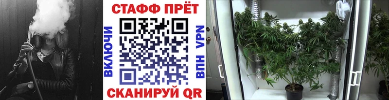  COCAIN Нерюнгри