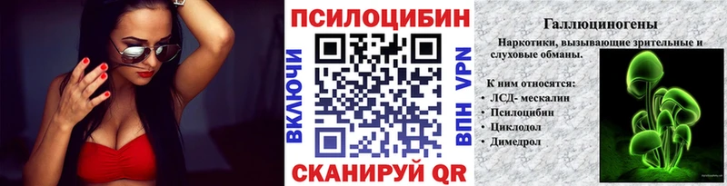 Псилоцибиновые грибы Psilocybine cubensis Нерюнгри